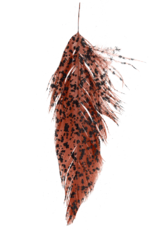 Montana Fly Company MFC Mottled Schlappen