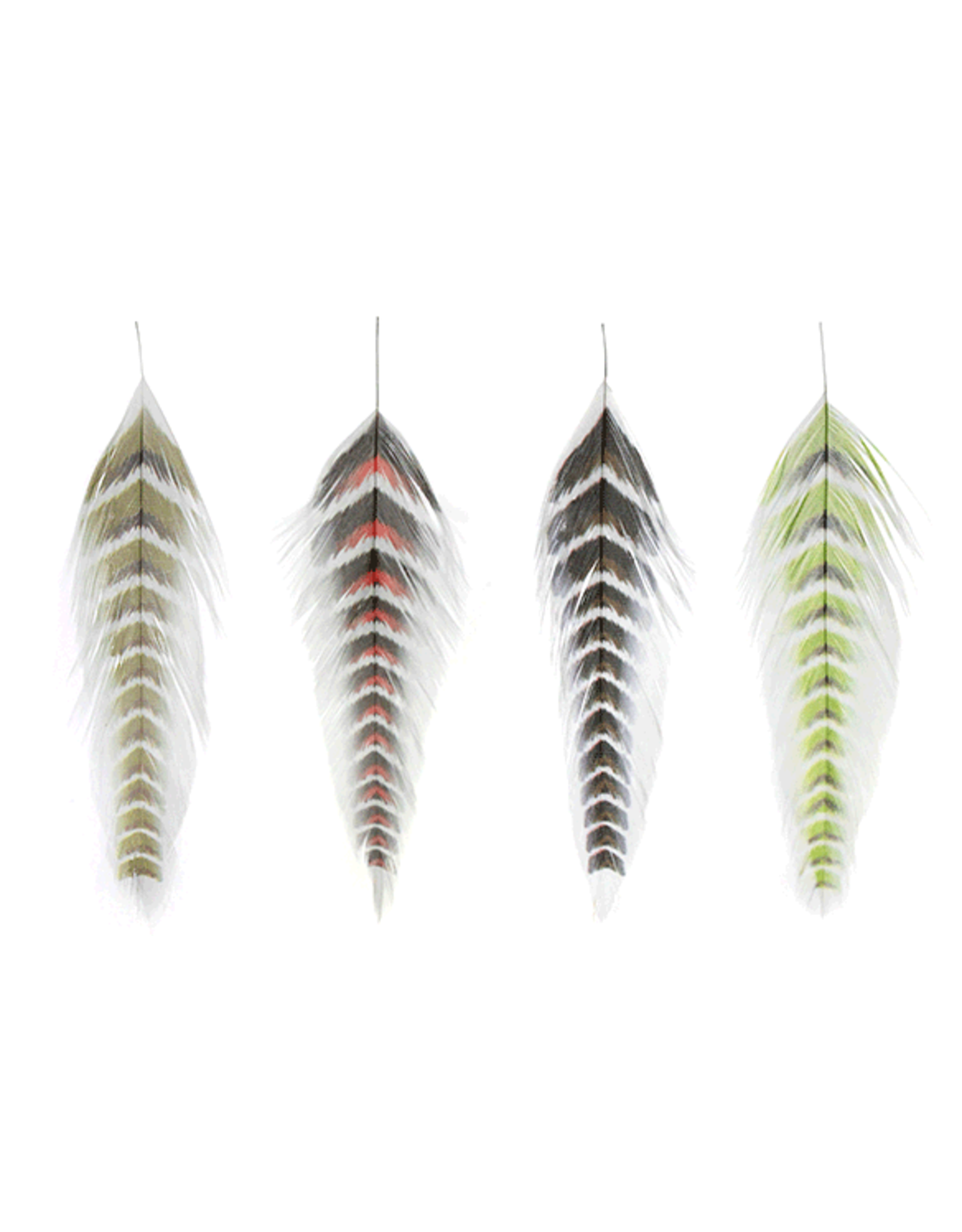 Montana Fly Company MFC Galloup's Fish Feathers (Grizzled)