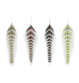 Montana Fly Company MFC Galloup's Fish Feathers (Grizzled)