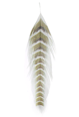 Montana Fly Company MFC Galloup's Fish Feathers (Grizzled)
