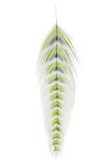 Montana Fly Company MFC Galloup's Fish Feathers (Grizzled)