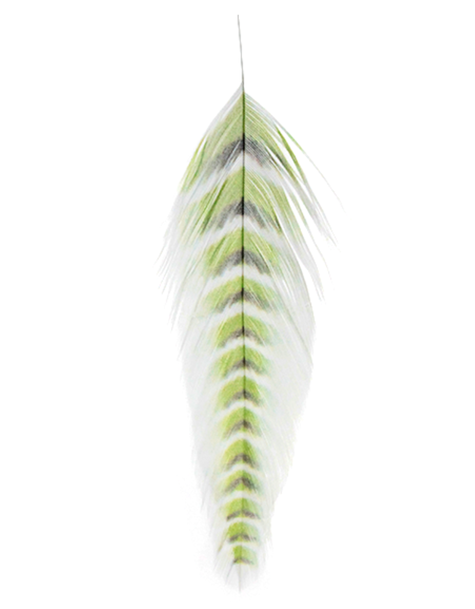 Montana Fly Company MFC Galloup's Fish Feathers (Grizzled)