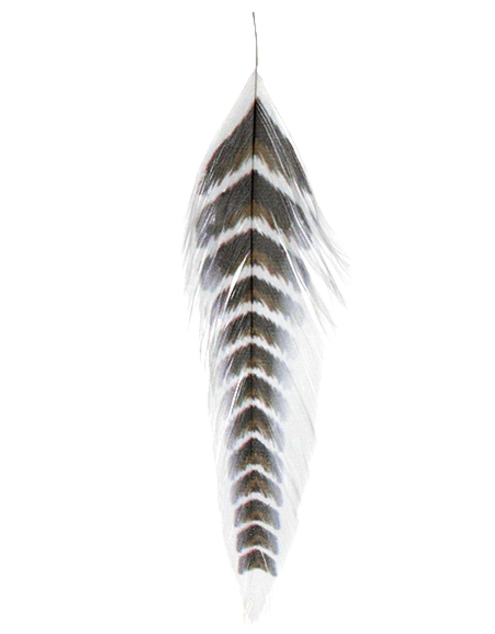 Montana Fly Company MFC Galloup's Fish Feathers (Grizzled)