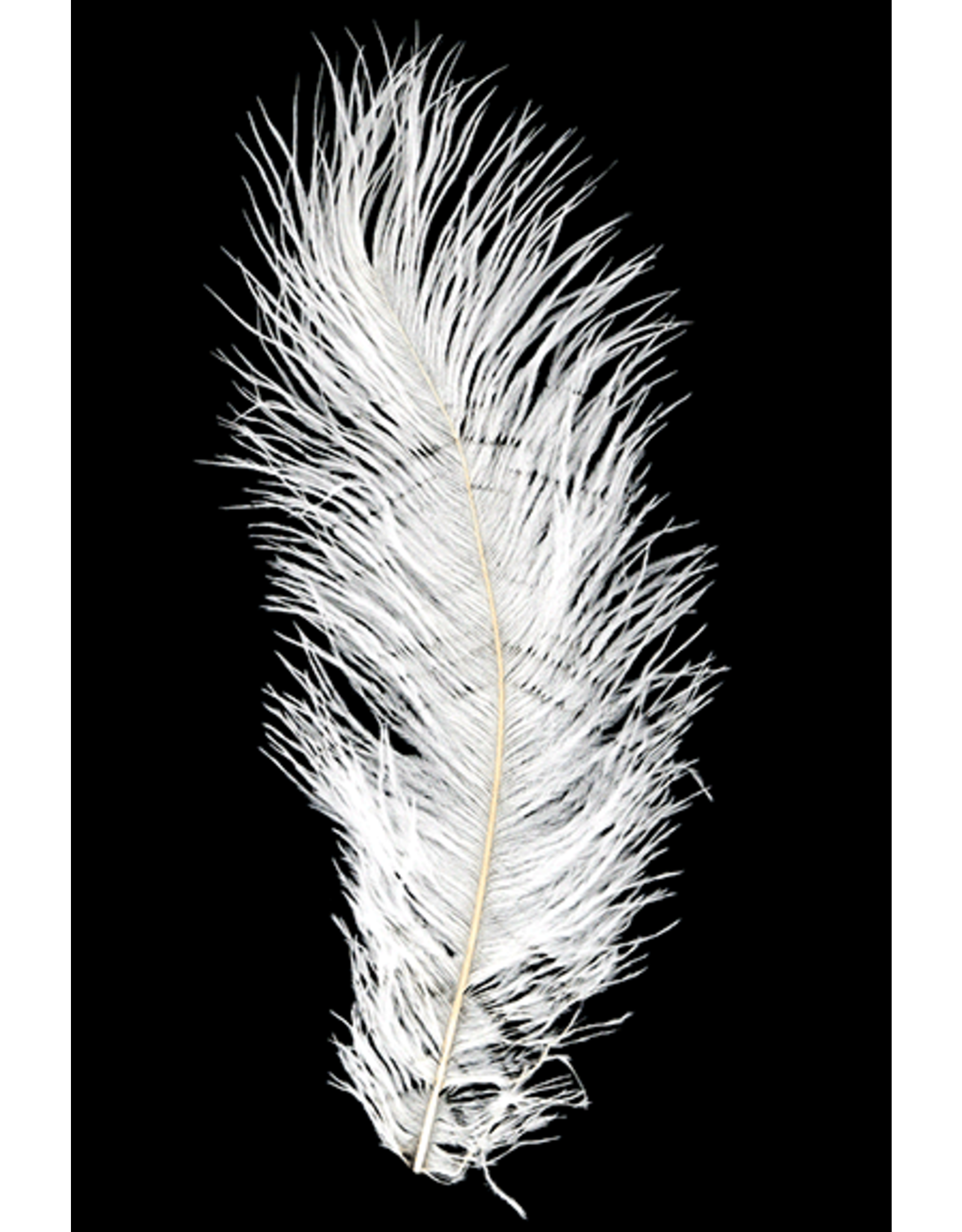 Montana Fly Company MFC Ostrich Plumes