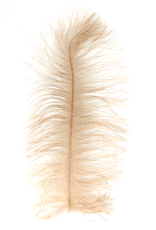 Montana Fly Company MFC Ostrich Plumes