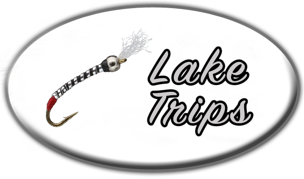 Guided Fly Fishing on Spinney or Antero Reservoir