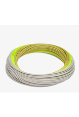 Rio RIO Elite Gold XP