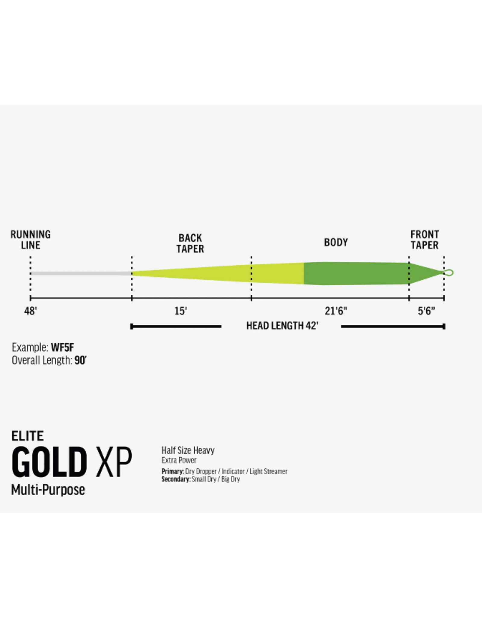 Rio RIO Elite Gold XP