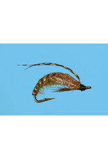 solitude Caddis Pupa Crawling / Olive #18 ( 3 Pack )