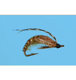 solitude Caddis Pupa Crawling / Olive #18 ( 3 Pack )