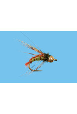 solitude Bead Head Ascending Caddis / Green #16 ( 3 pack )