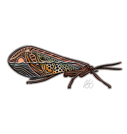 Casey Underwood Casey Underwood Caddis Scape Sticker