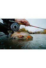 Ross ROSS San Miguel 5/6 Reel (Special Edition Mayfly Flurry Gloss Black)