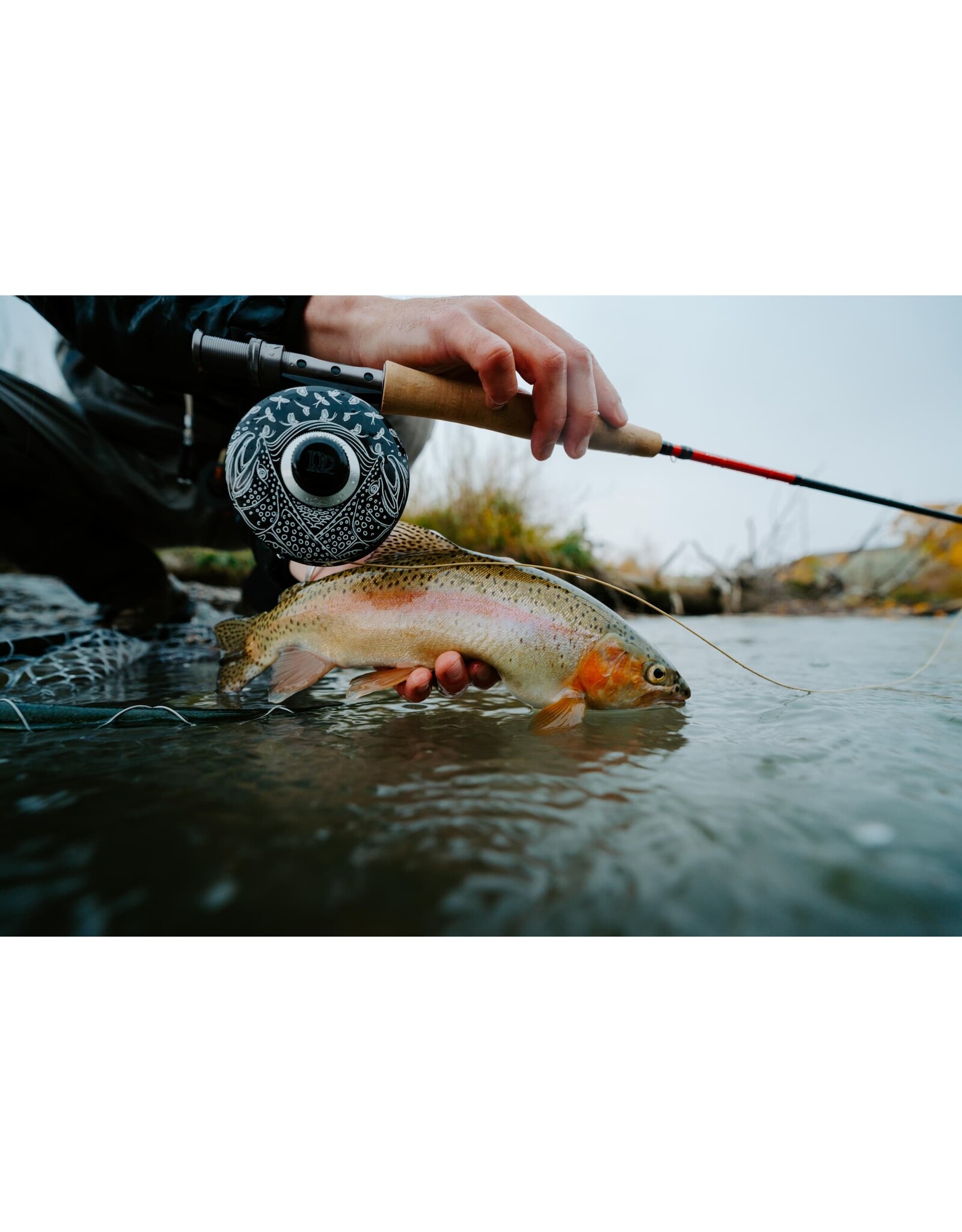 Ross ROSS San Miguel 5/6 Reel (Special Edition Mayfly Flurry Gloss Black)