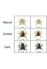 MFC MFC Soft Shell Stone Body / Golden / Medium