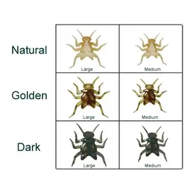 MFC MFC Soft Shell Stone Body / Golden / Medium