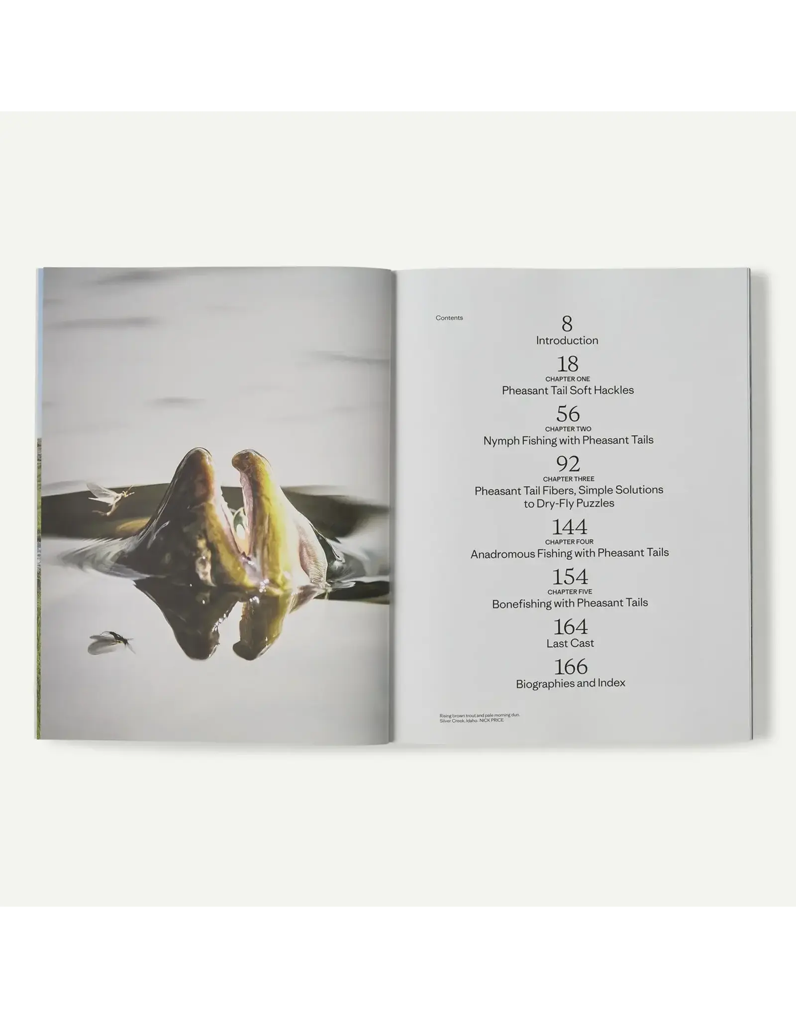 Patagonia "Pheasant Tail Simplicity: Recipes and Techniques for Successful Fly Fishing" (by Yvon Chouinard, Craig Mathews, and Mauro Mazzo)