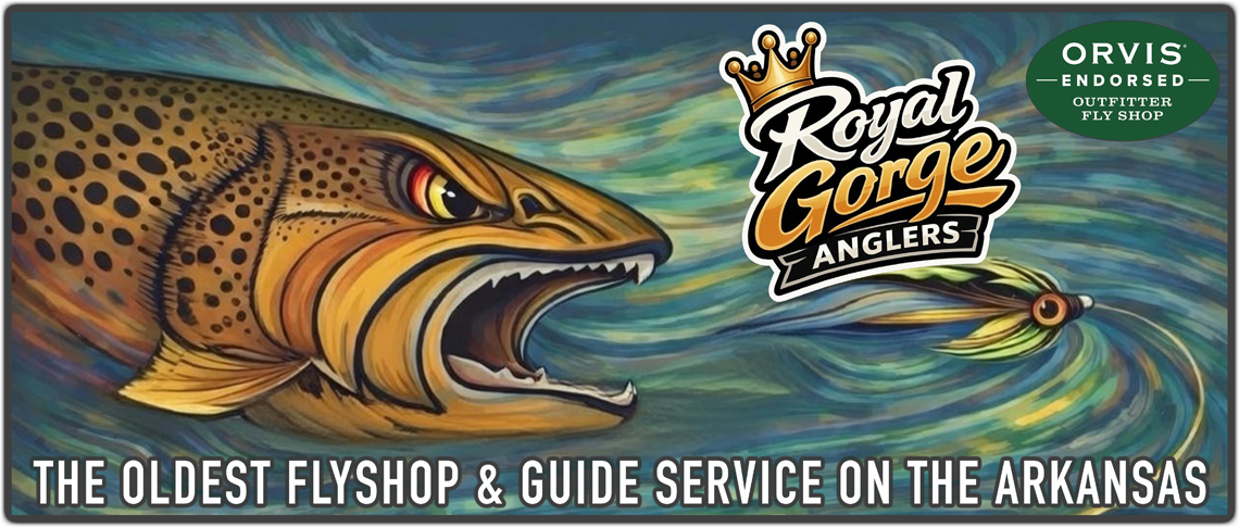 Guided Fly Fishing Arkansas River. Guided Fly Fishing South Platte River. Guided Spin Fishing Colorado. Colorado Fly Fishing