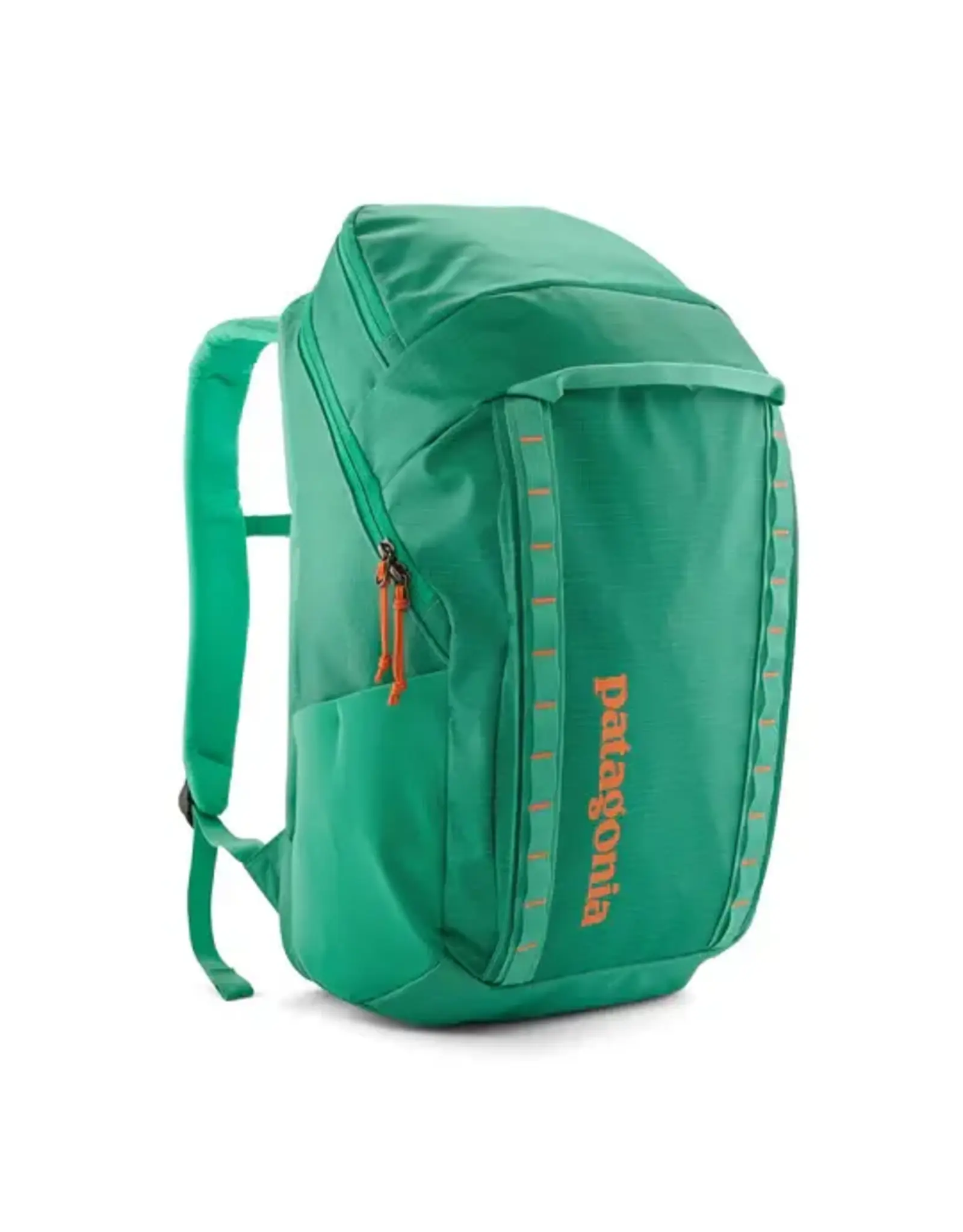 Patagonia Patagonia Black Hole® Pack 32L (AQST)