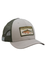 Rep Your Water RepYourWater Colorado Greenback Hat