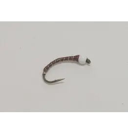 Chan's Summer Duck Pupa #12 ( 3 Pack )