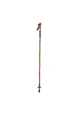 Fishpond Fishpond Grass Sticks Wading Staff