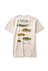 Orvis Orvis Freshwater Fish Tee Shirt