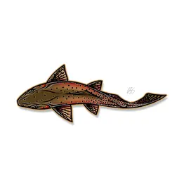 Casey Underwood Casey Underwood Swimming Trout Decal