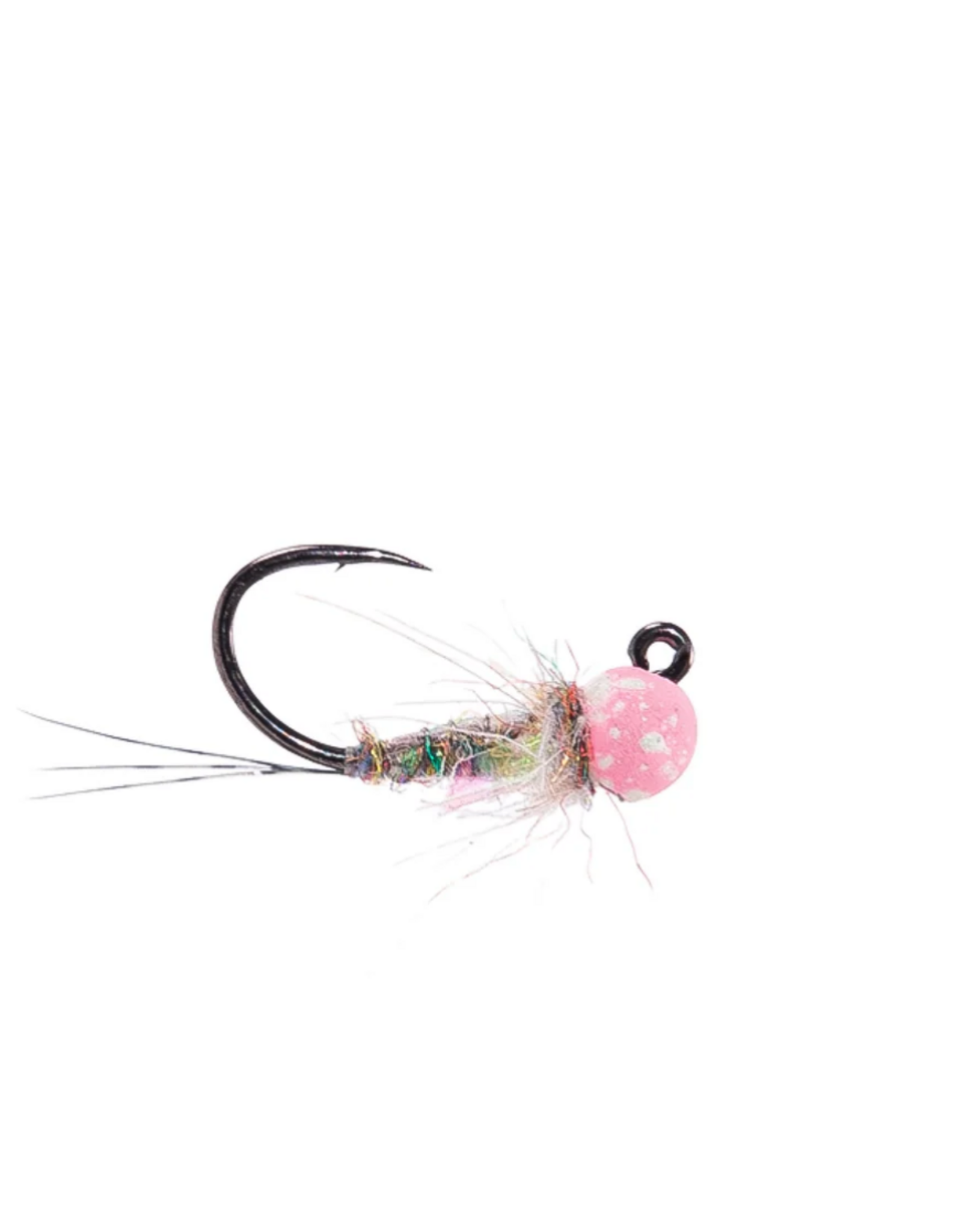MFC Keller's Peach Fuzz Rainbow  16 (3 pack)