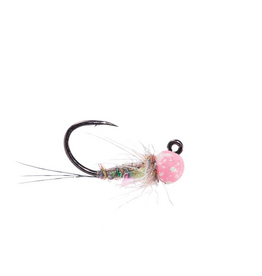 MFC Keller's Peach Fuzz Rainbow  16 (3 pack)