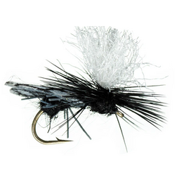 MFC Gould's Half Down Ant Black 14 (3 Pack)