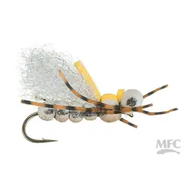 MFC Pavlovich's Sweet Dream Hopper ( 3 Pack )
