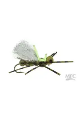 MFC Pavlovich's Sweet Dream Hopper ( 3 Pack )