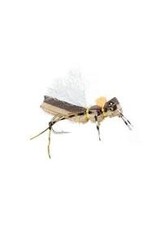 MFC Yellowstone Hopper / Tan / #12 (3 pack )
