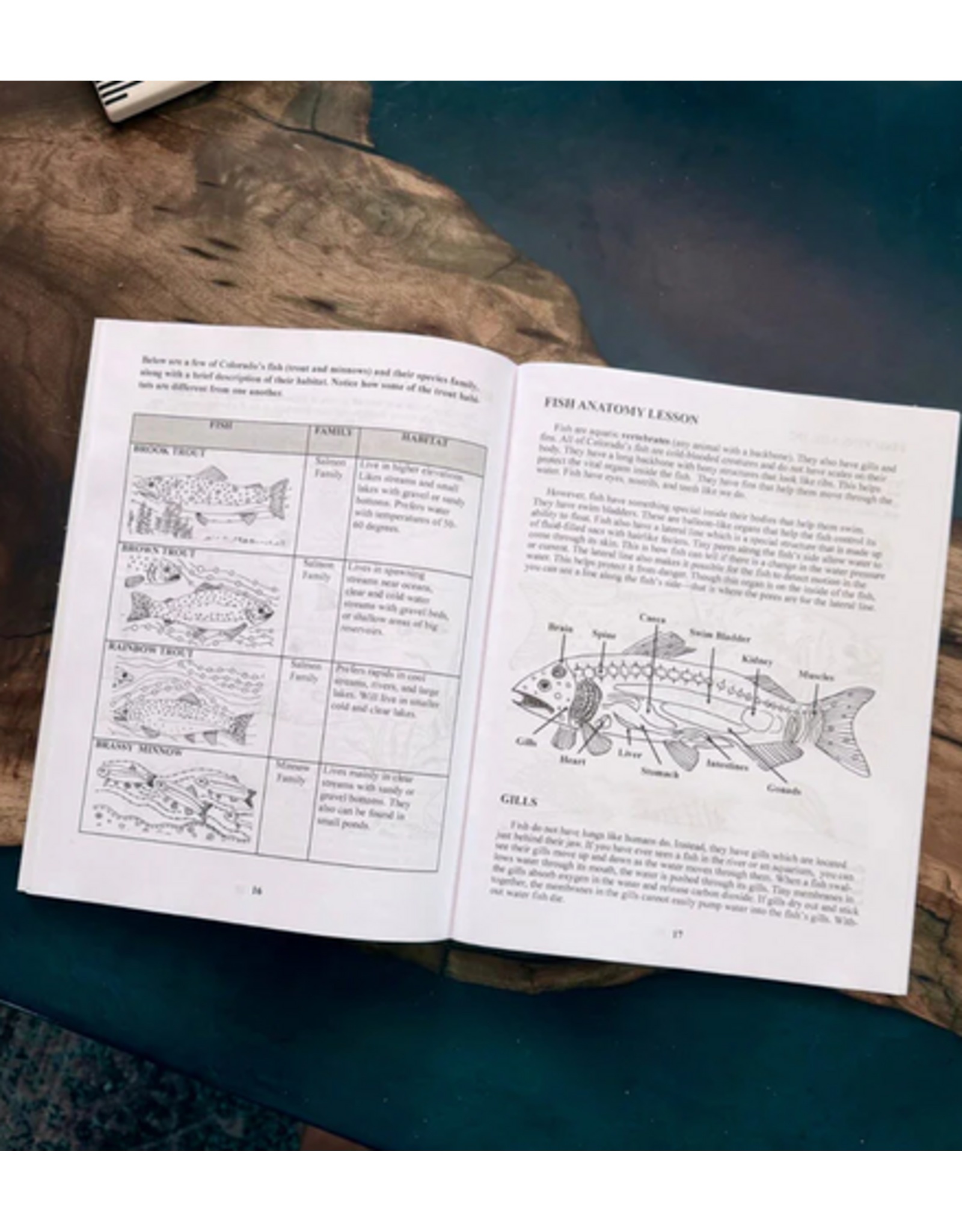 Wild & Wonderfuld, a Child's Guide to the Arkansas River and the Creatures that Live There
