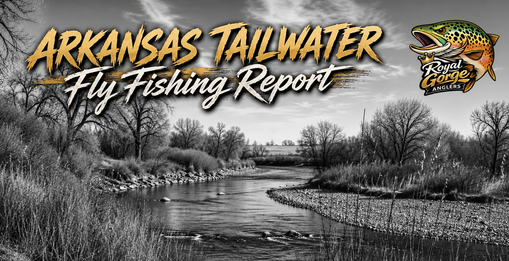 Arkansas Tailwater Pueblo Fishing Report