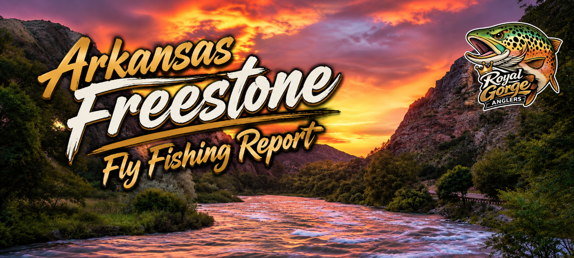 Arkansas River Fishing Report