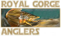 Royal Gorge Anglers Flyshop and Fly Fishing Guide Service