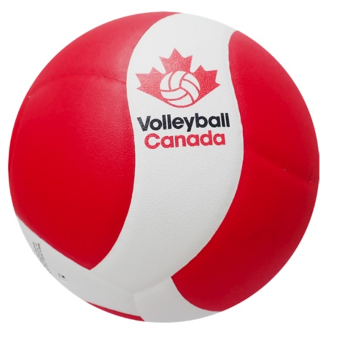 VQ200W-CAN Volleyball