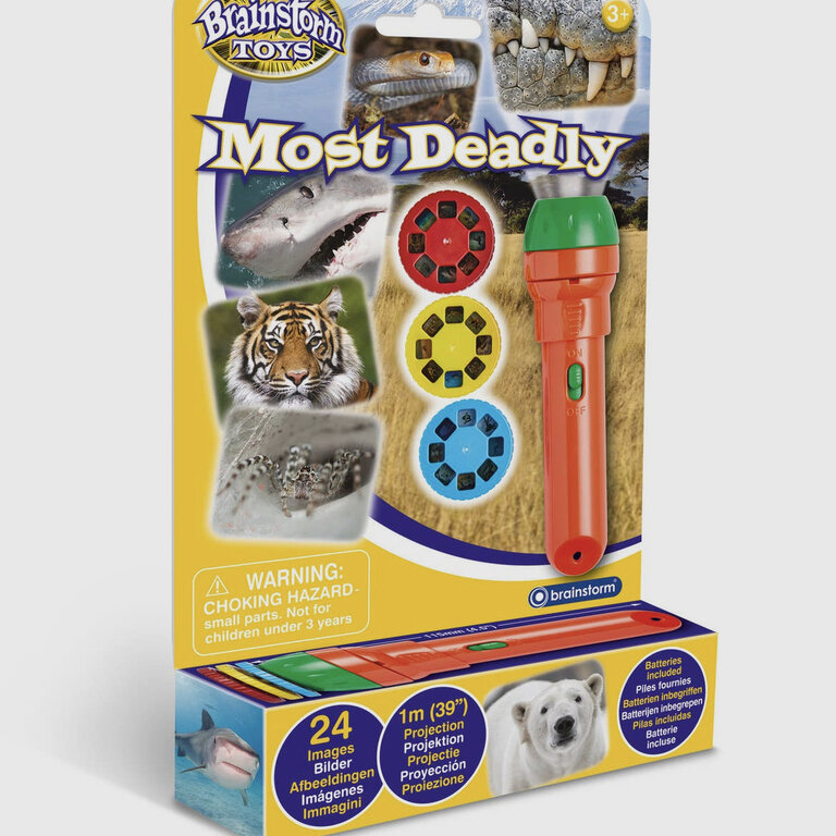 Legler Toys Most Deadly Torch Projector