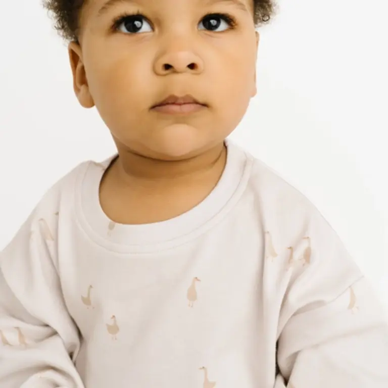 Little One Shop Silly Goose Sweatsuit Set