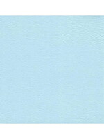 BABY BLUE SPU REGULAR VINYL 12*19.5