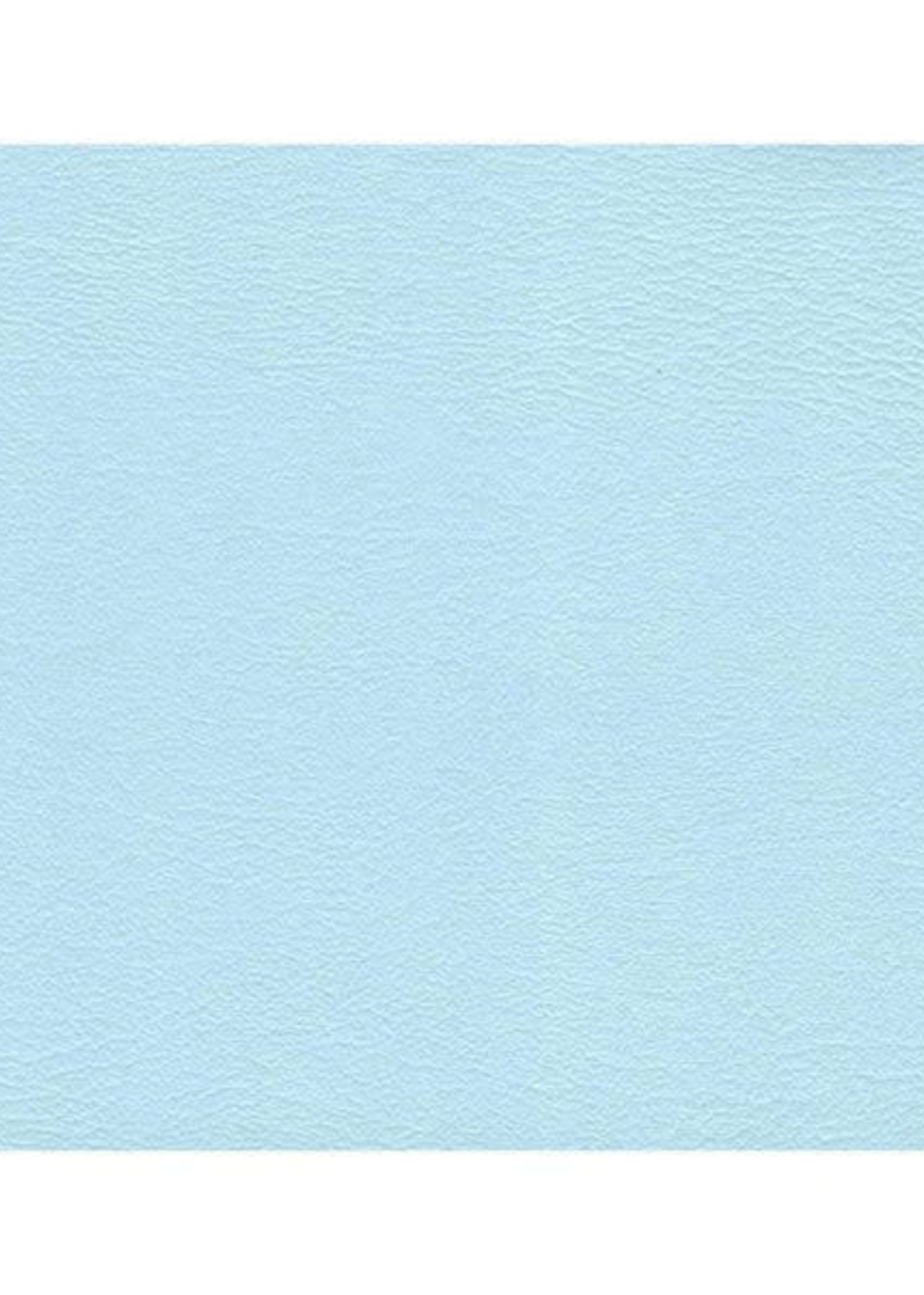 BABY BLUE SPU REGULAR VINYL 12*19.5