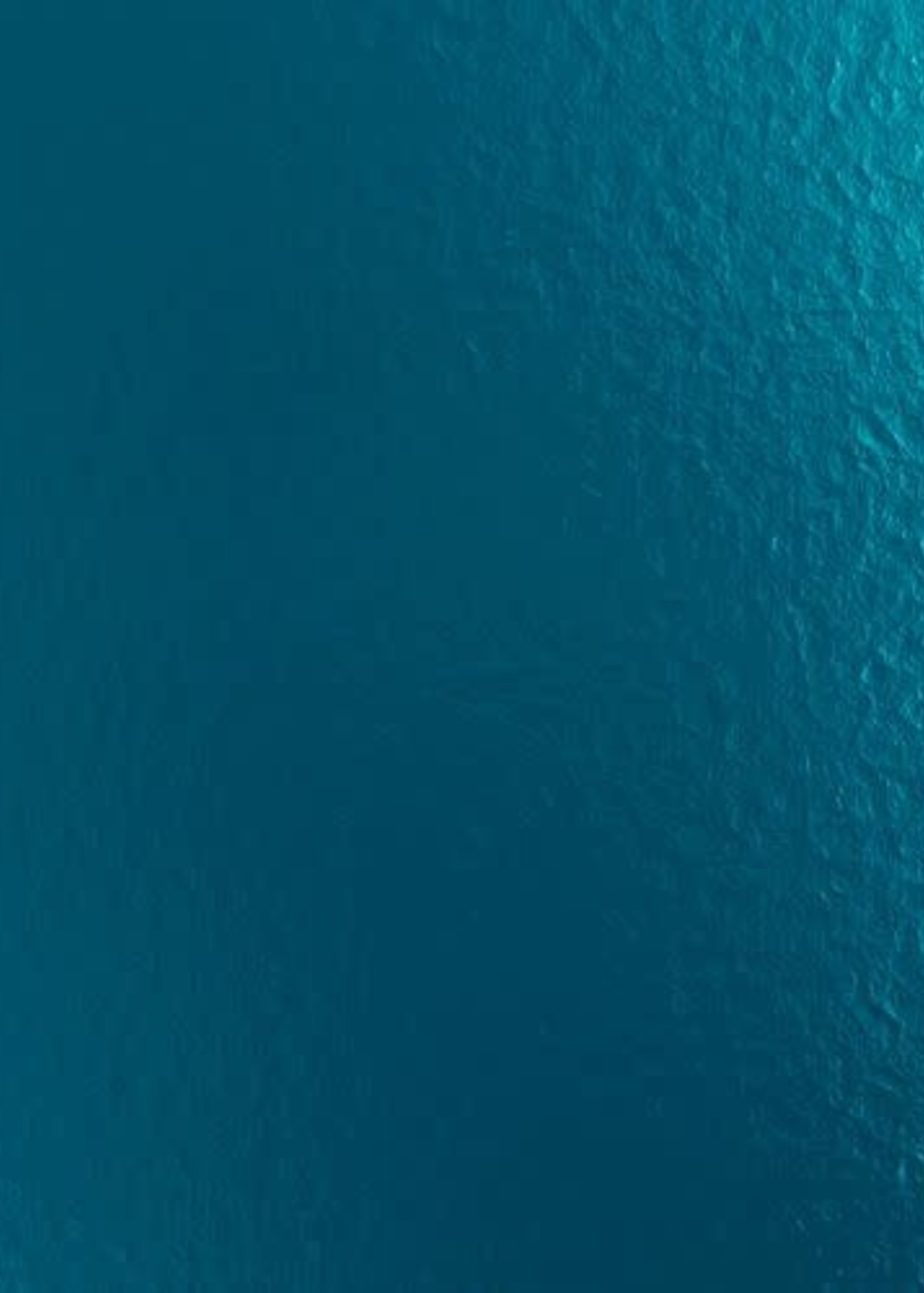 AQUA SFO-12 FLEX FOIL 12*19.5