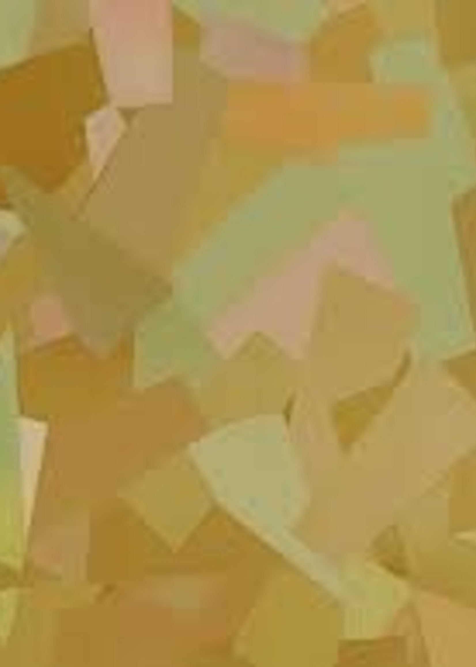 GLASS GOLD SFO-134 FLEX FOIL 12*19..5
