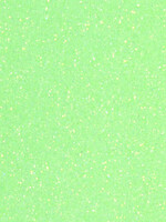 NEON RAINBOW GREEN SGL-40 GLITTER 12*19.5