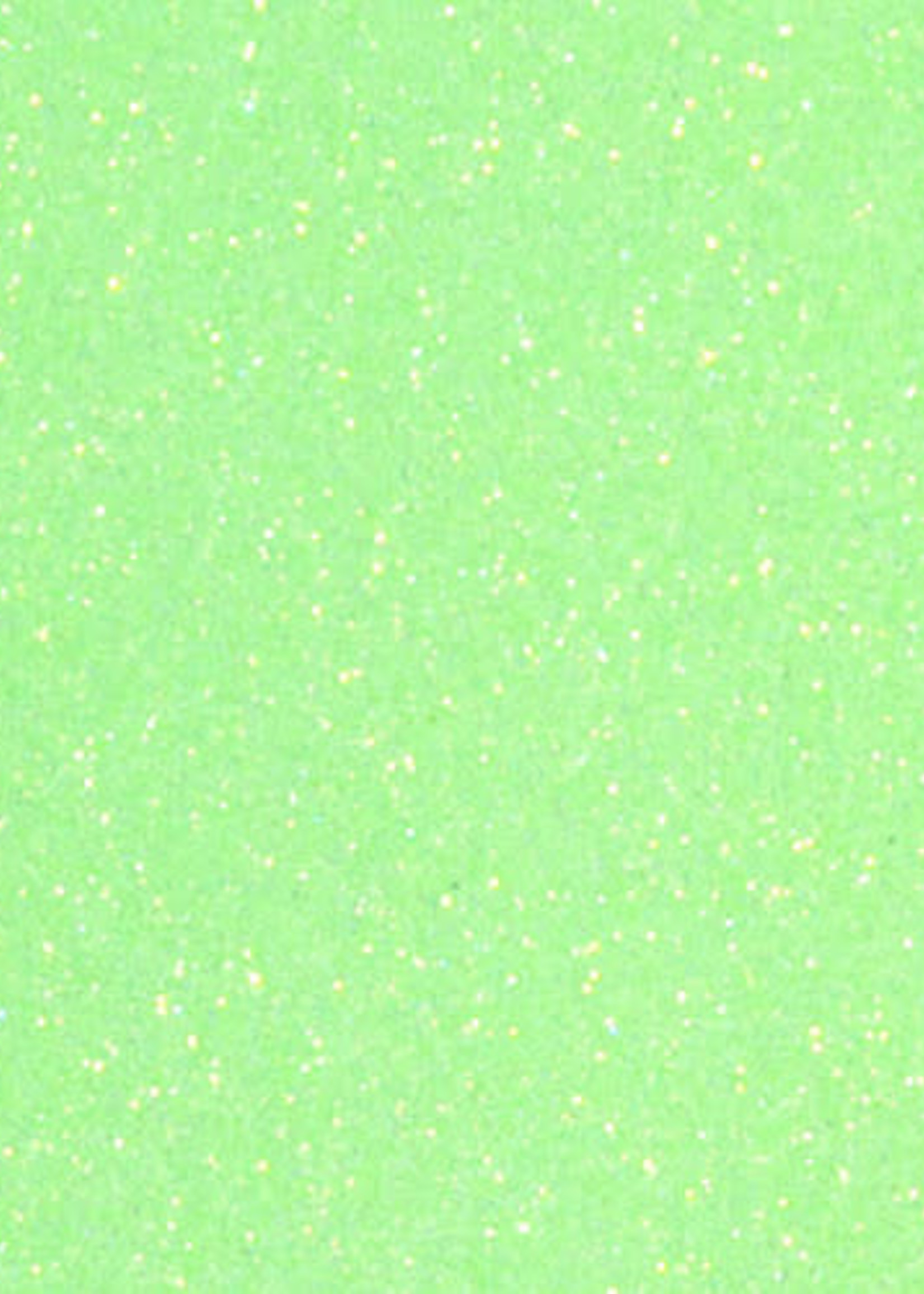 NEON RAINBOW GREEN SGL-40 GLITTER 12*19.5
