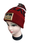 WCG-8674B DALLAS WINTER HAT (MULTI COLOR)