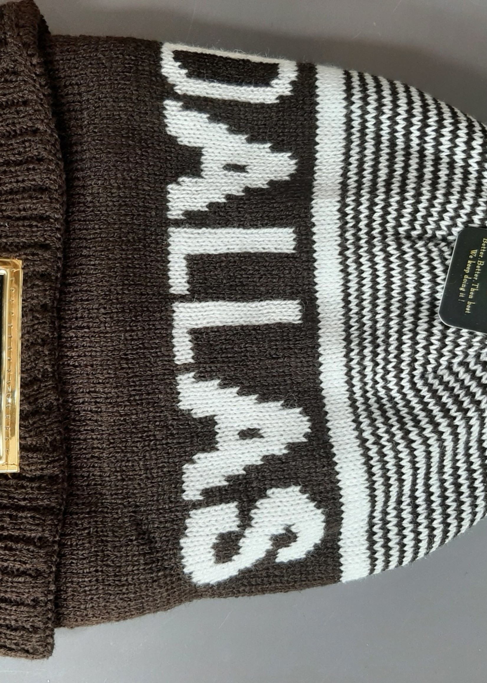 WCG-8674B DALLAS WINTER HAT (MULTI COLOR)