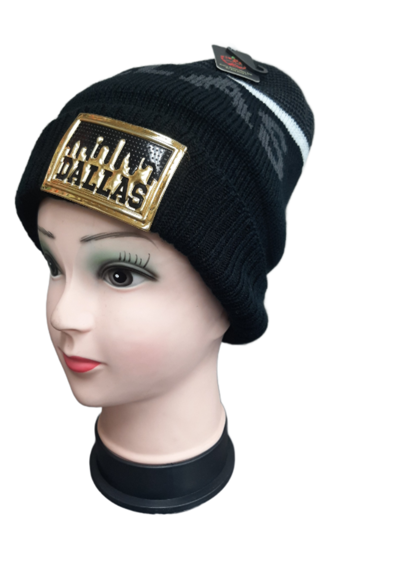 WCG-8674B DALLAS WINTER HAT (MULTI COLOR)